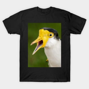 Australian Masked Lapwing (Plover) T-Shirt